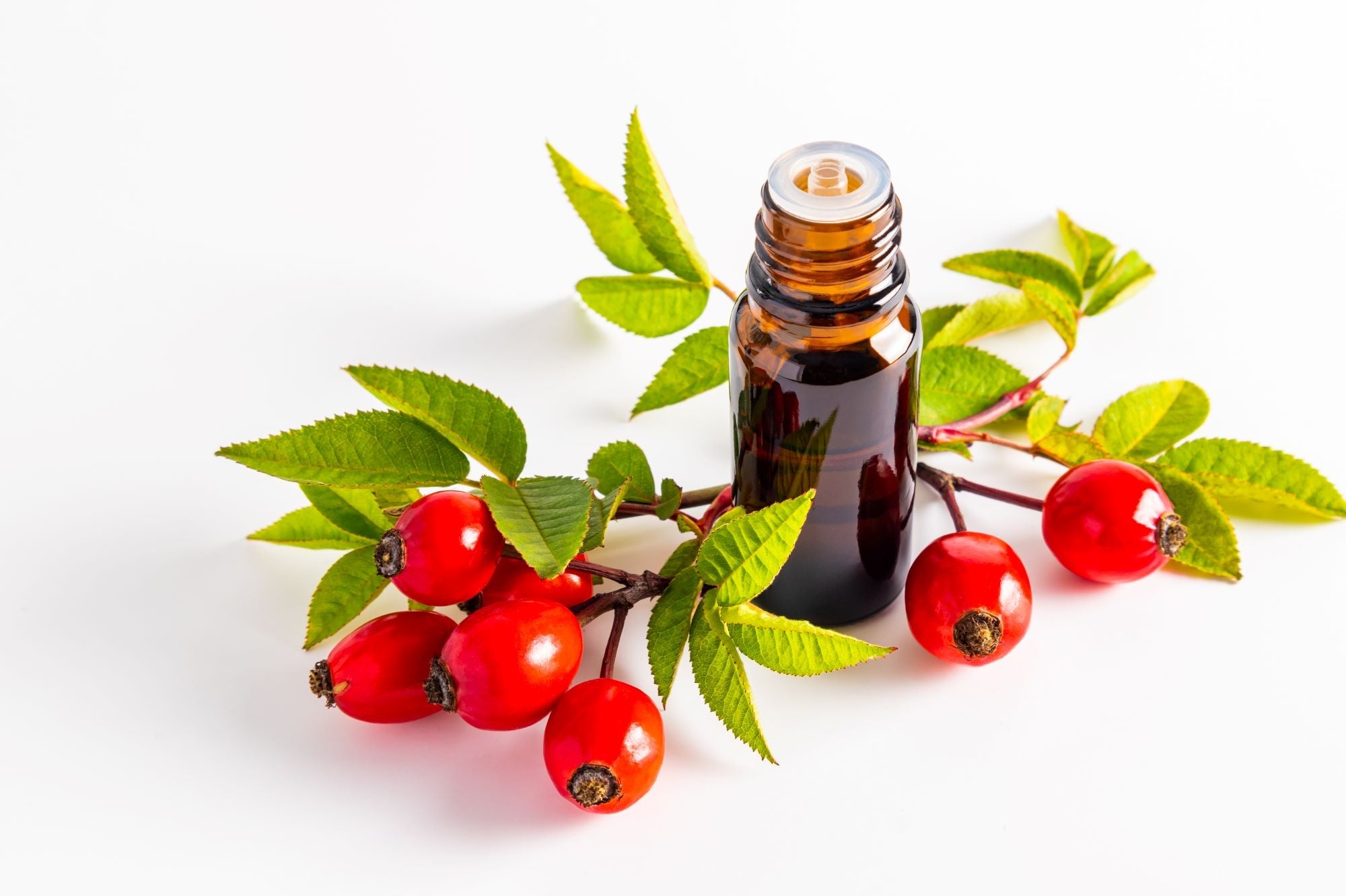 Skincare Showdown: Marula Oil vs. Rosehip Oil